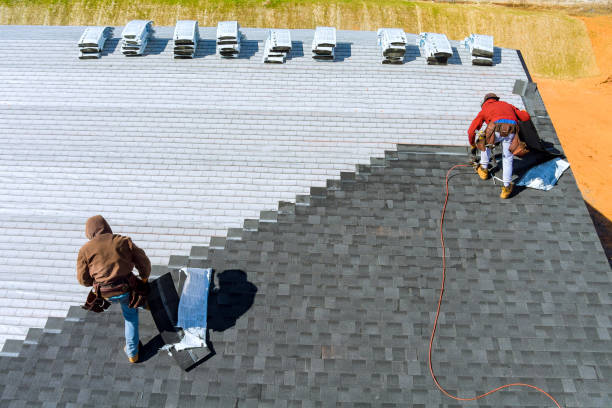 Best Roof Maintenance and Cleaning  in Honsville, GA